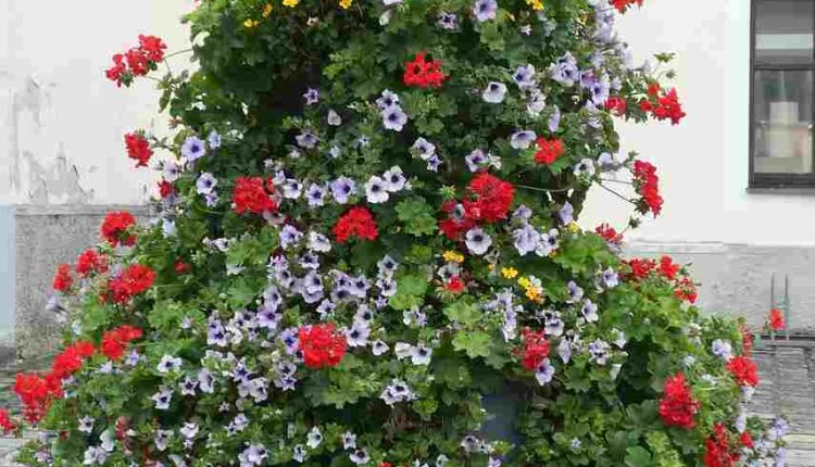 Square Planter