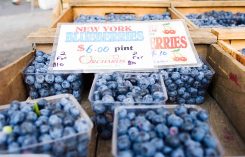 Blueberry Farms Near Me in New York