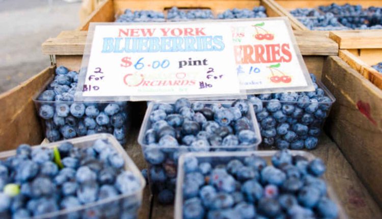Blueberry Farms Near Me in New York