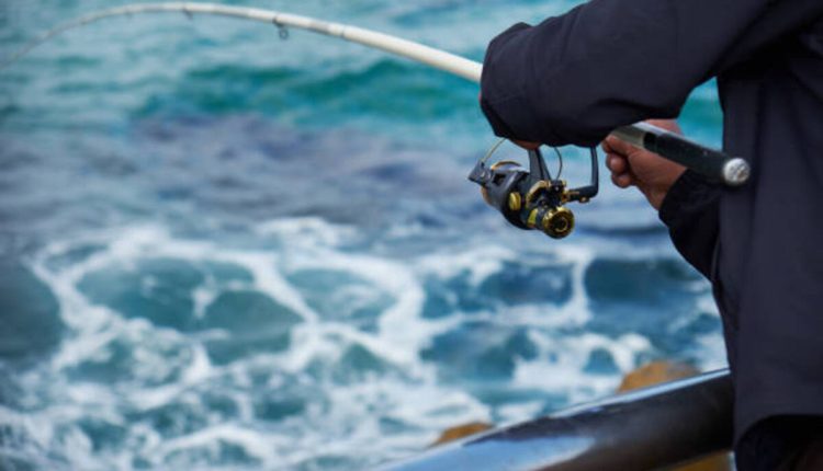 The Best Surf Fishing Rods