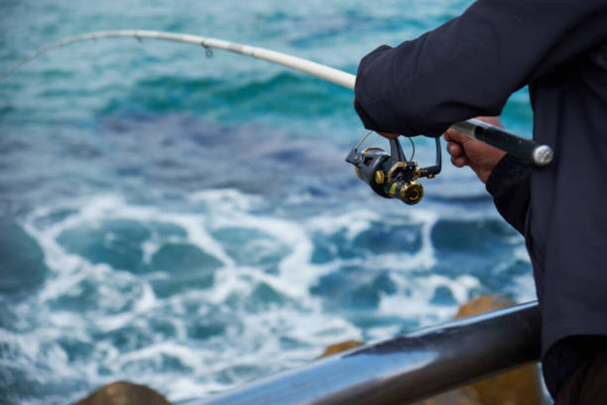 The Best Surf Fishing Rods
