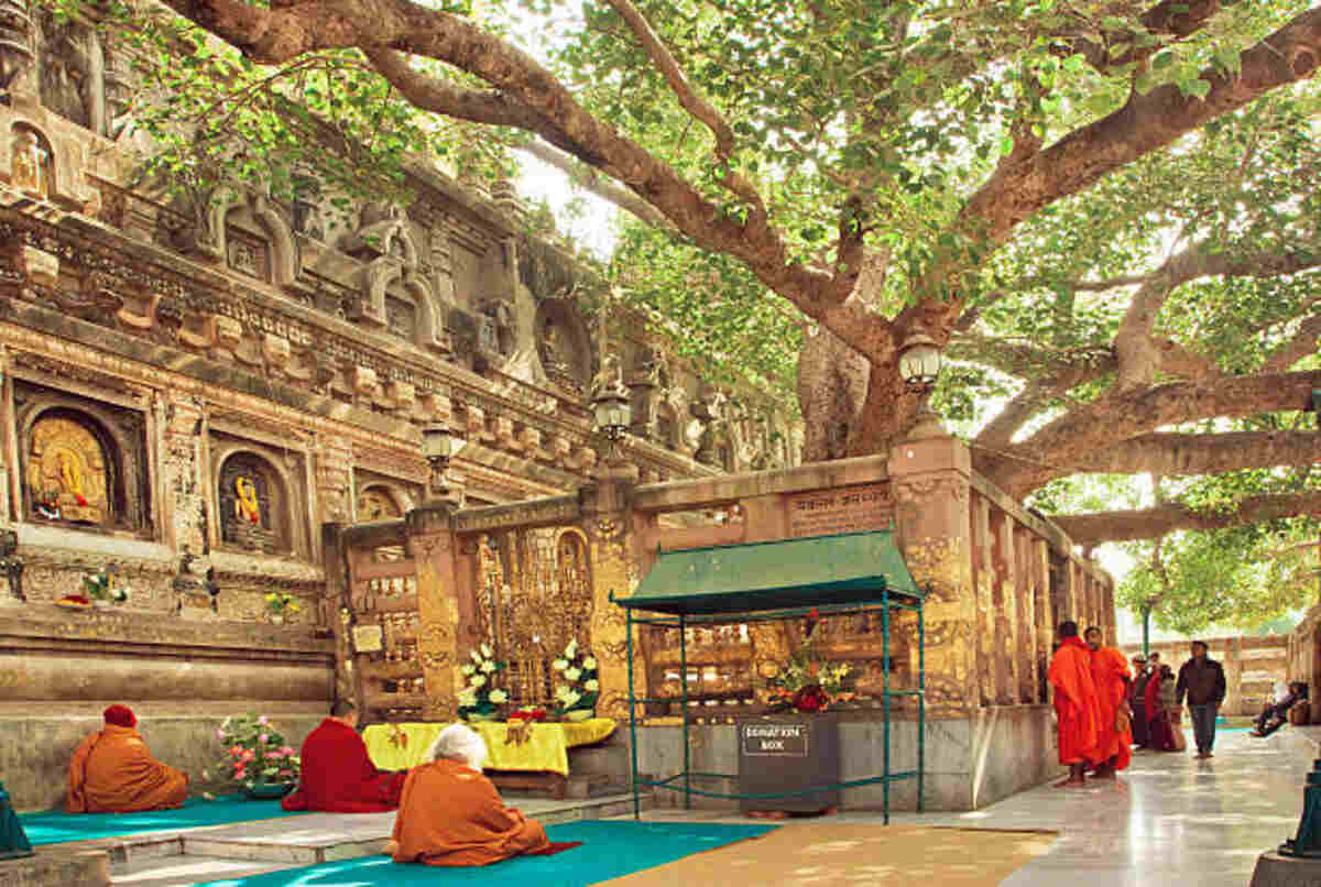 many prayers sitting around the bodhi tree