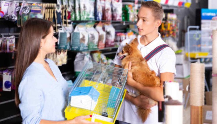 Find Pets For Sale on Craigslist