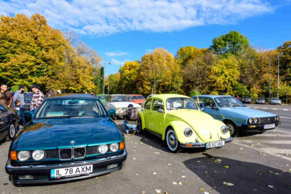 The Kelley Park VW Show
