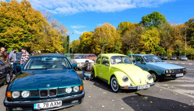 The Kelley Park VW Show