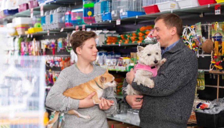 Buying a Puppy From Craigslist