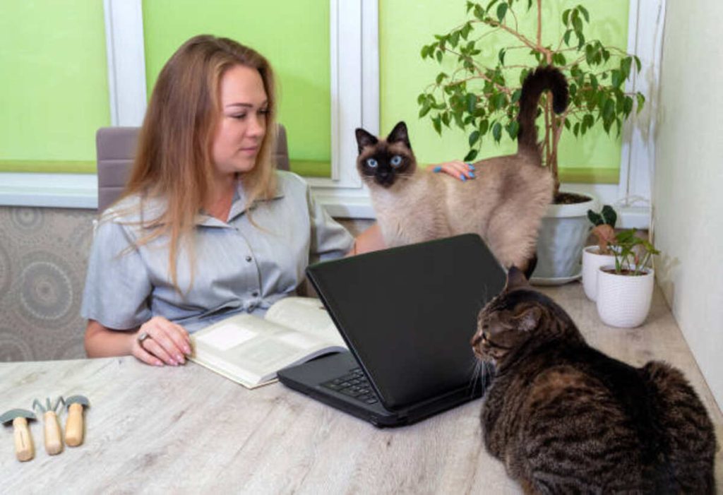 Avoid Fraudulent Craigslist Pets