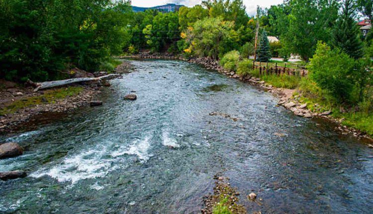 Animas River Streamflows