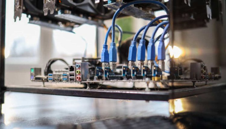 Assay Business Technology Services